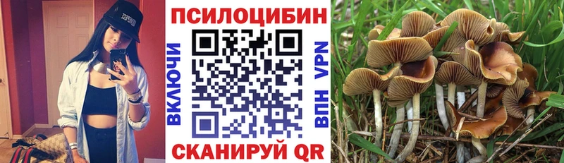 Псилоцибиновые грибы Cubensis  MEGA зеркало  Жиздра 